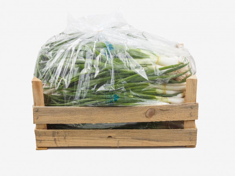 Daun Bawang - Fresh Export Turkey