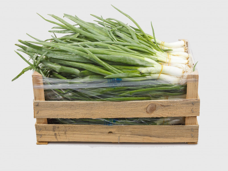 Daun Bawang - Fresh Export Turkey