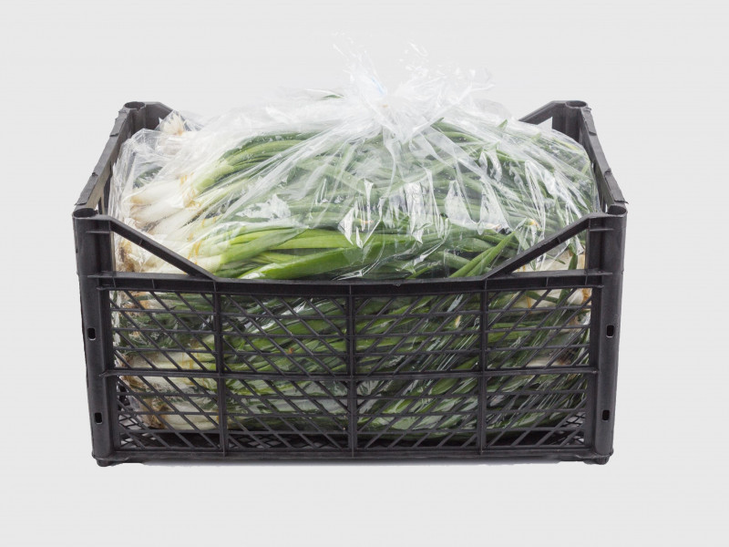 Daun Bawang - Fresh Export Turkey