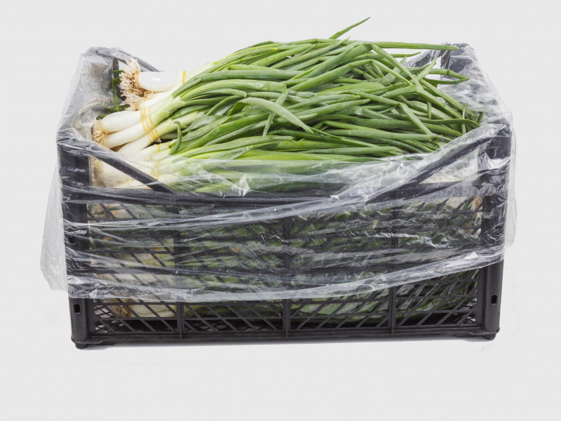 Daun Bawang - Fresh Export Turkey