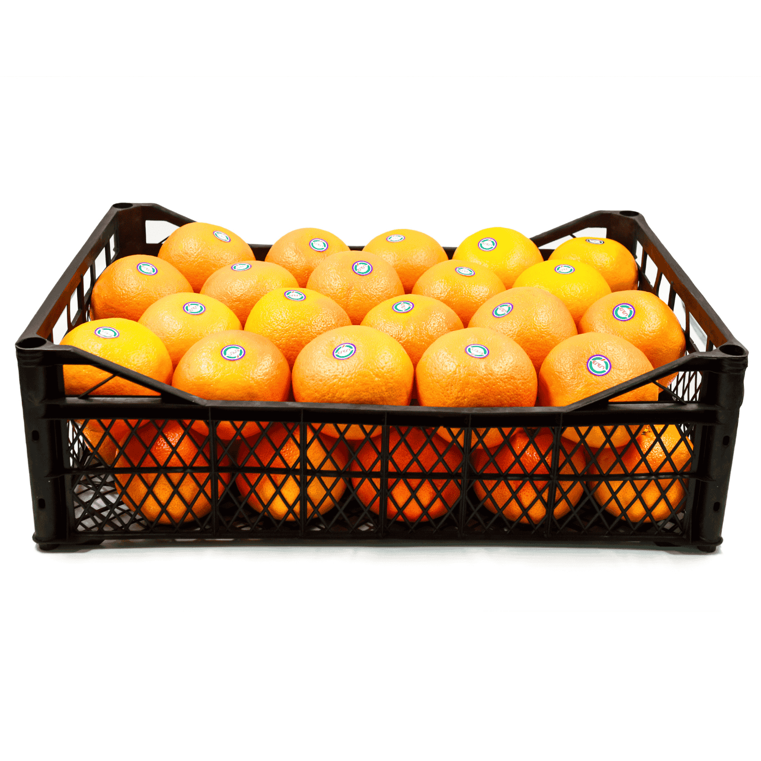 نجم روبي / أحمر روبي / جريب فروت أحمر ريو - Fresh Export Turkey