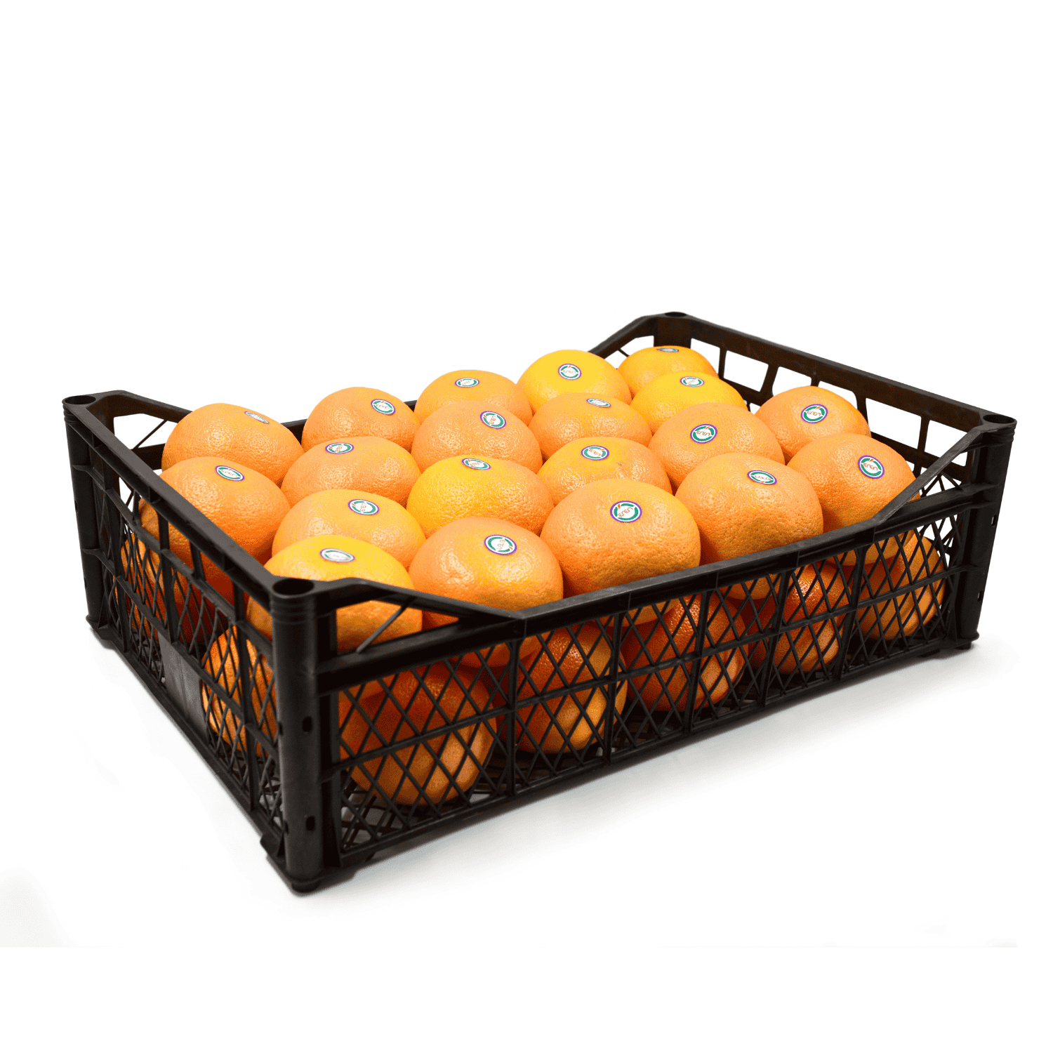 نجم روبي / أحمر روبي / جريب فروت أحمر ريو - Fresh Export Turkey