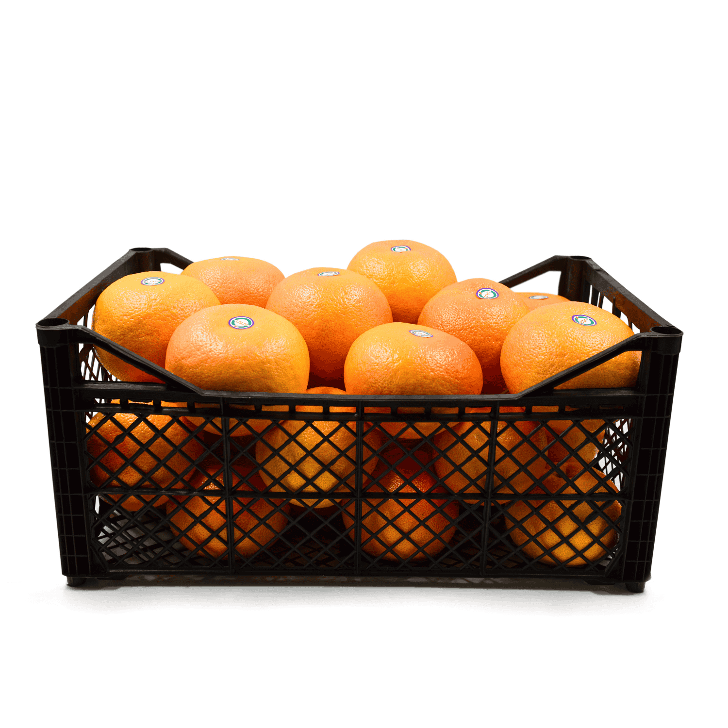 نجم روبي / أحمر روبي / جريب فروت أحمر ريو - Fresh Export Turkey