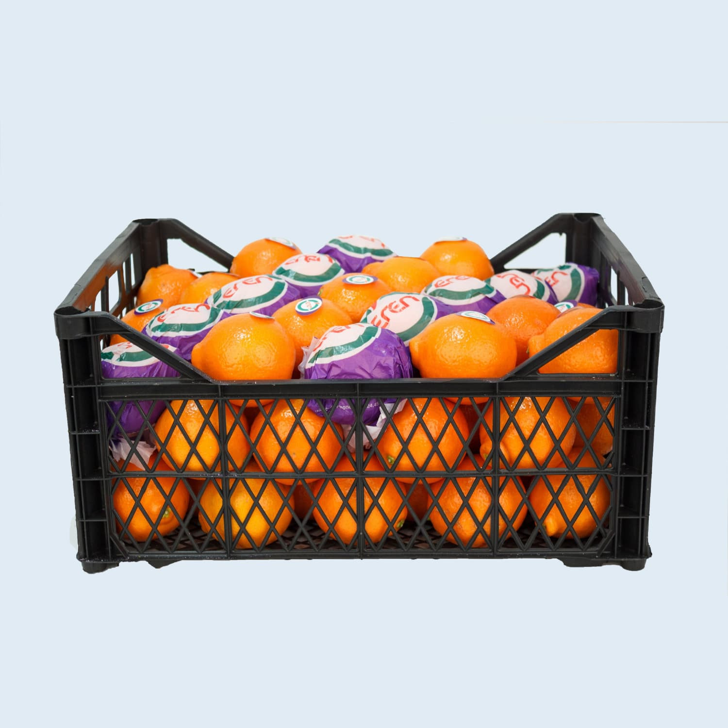 Minneola Mandarin Carton Box - EREN Turkey Fresh Citrus