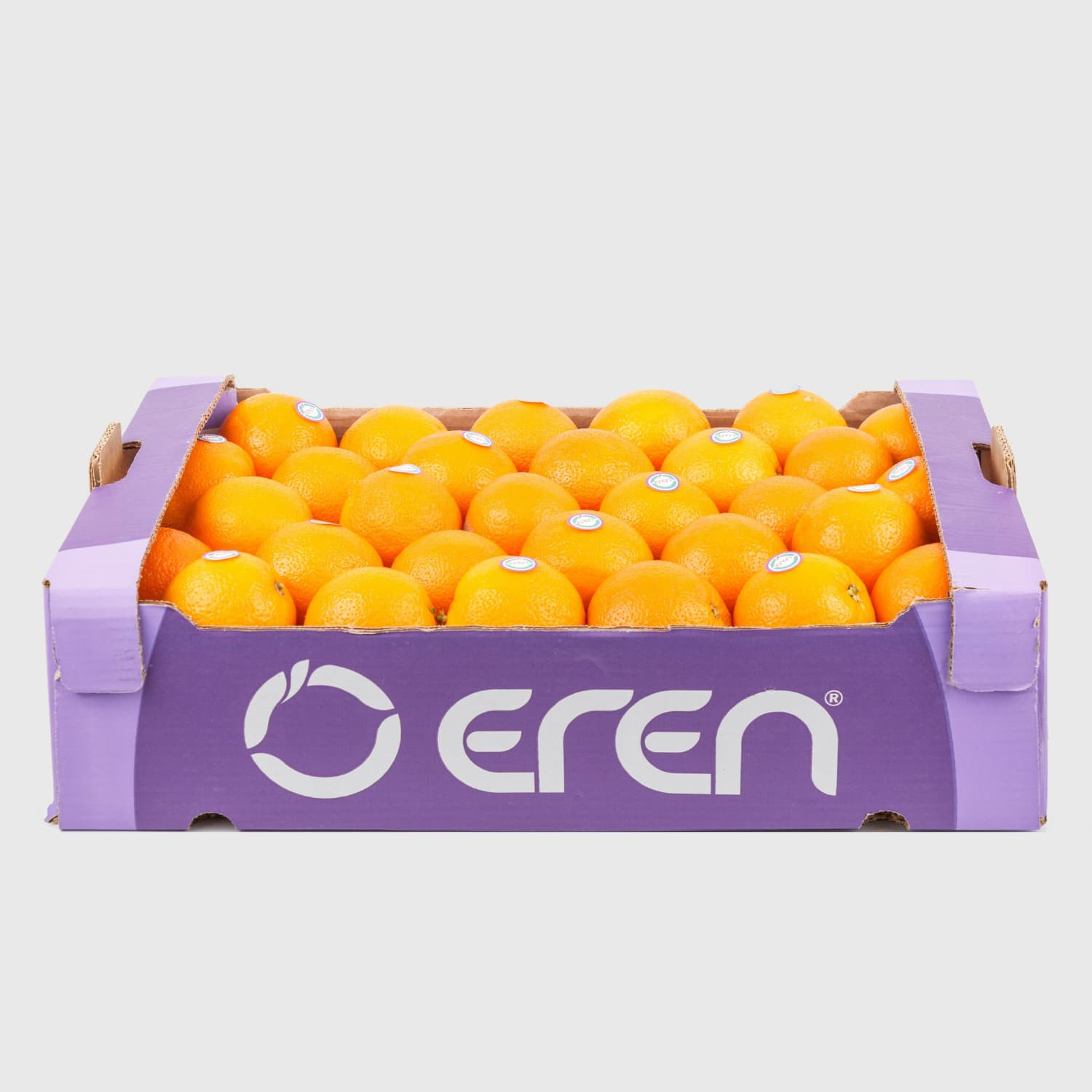 Valencia Orange - Fresh Export Turkey