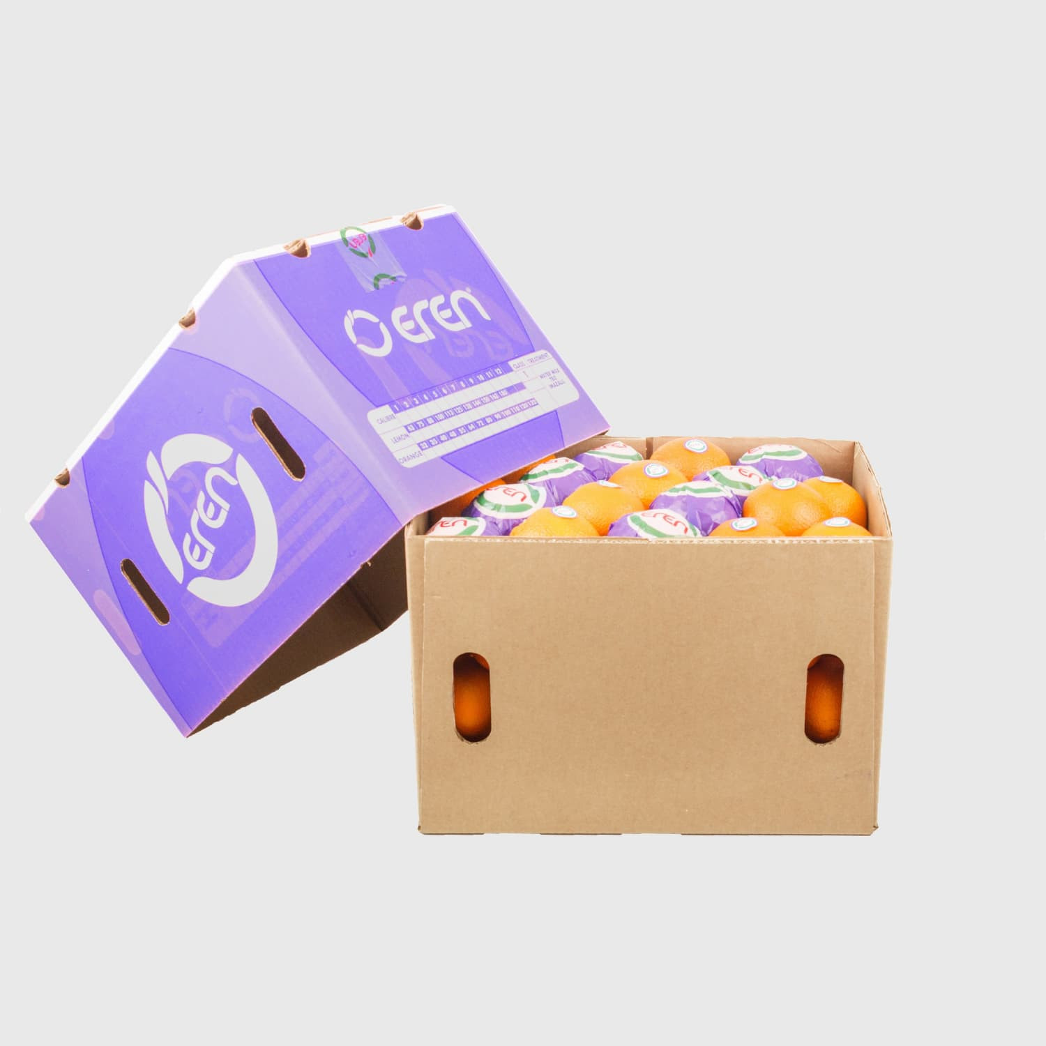 Valencia Orange - Fresh Export Turkey