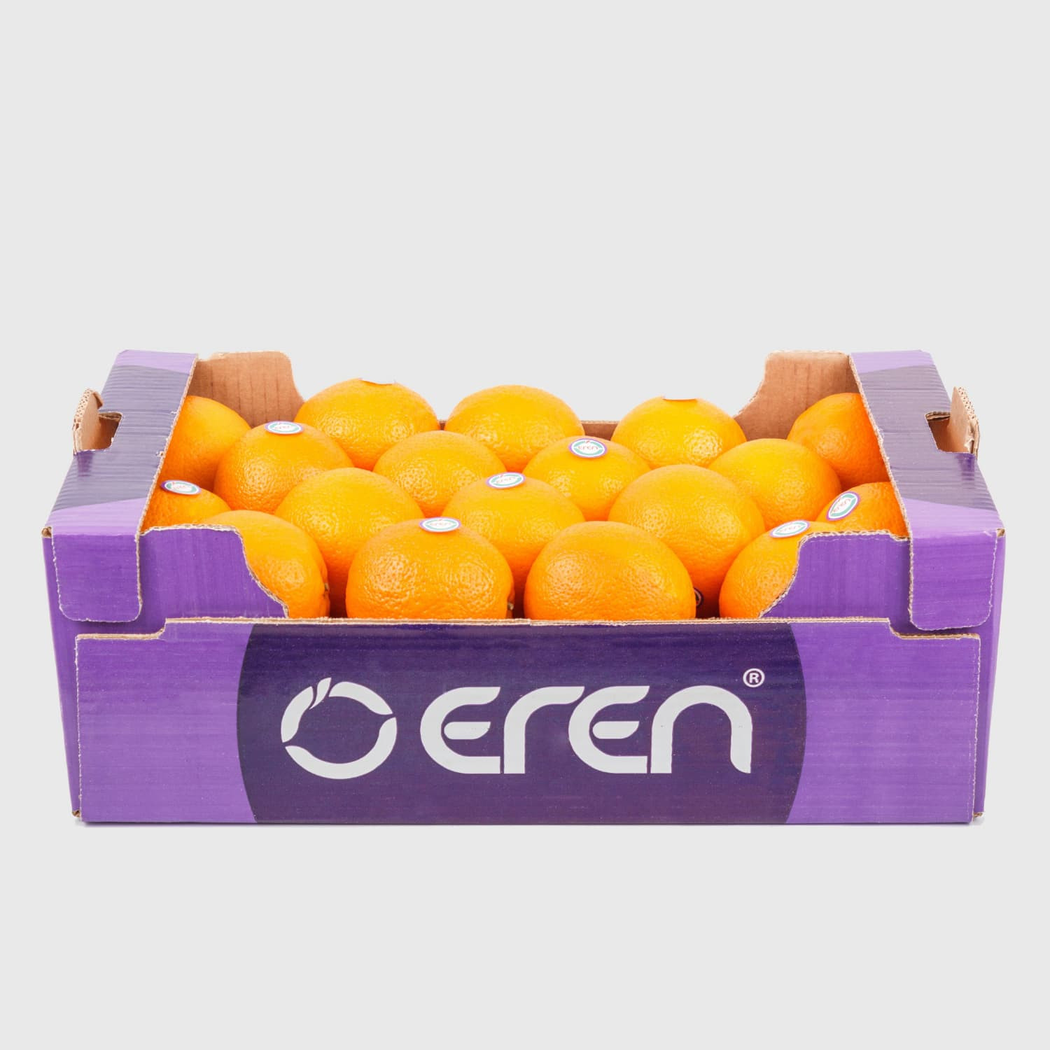 Valencia Orange - Fresh Export Turkey