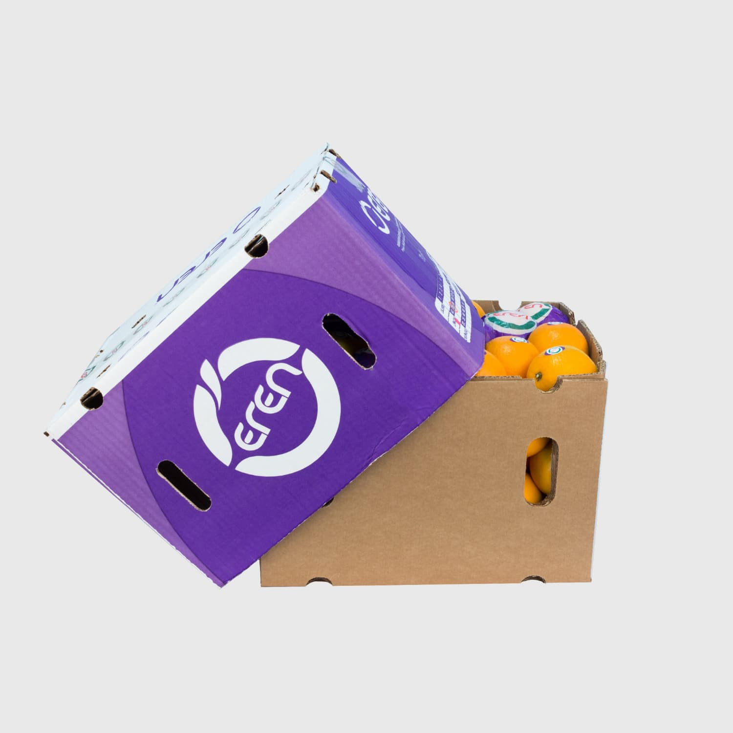 Washington Navel Orange - Fresh Export Turkey