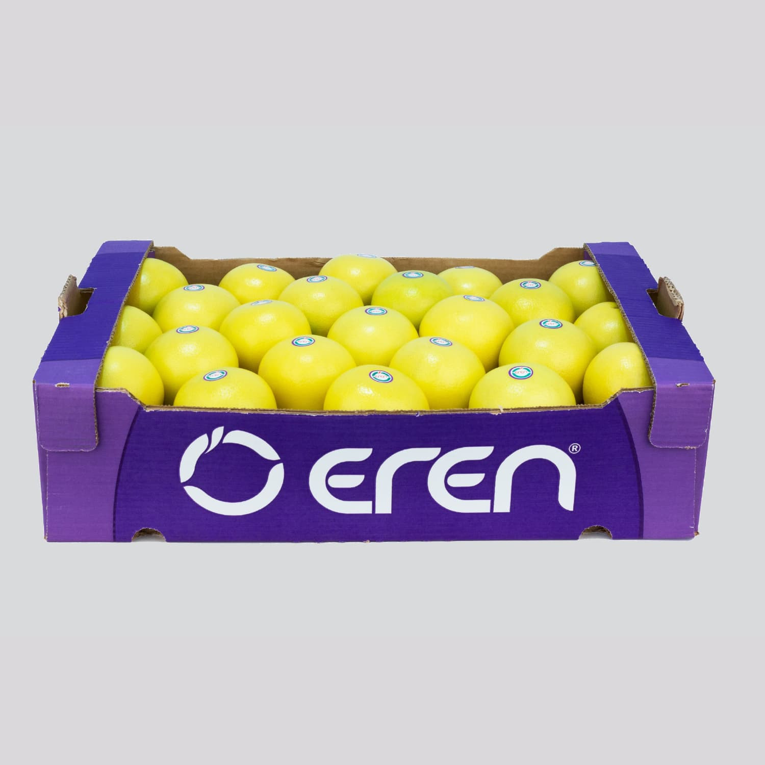 White Marsh Grapefruit in Plastic Box - EREN Citrus Supplier