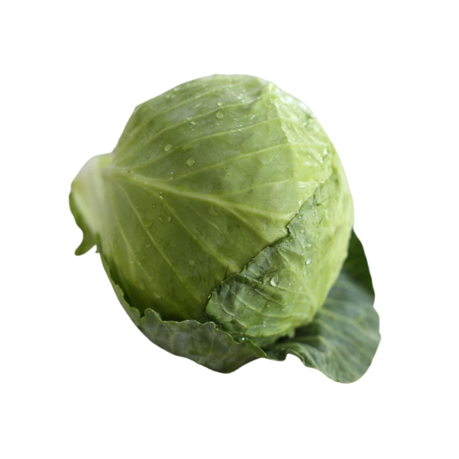Cabbage