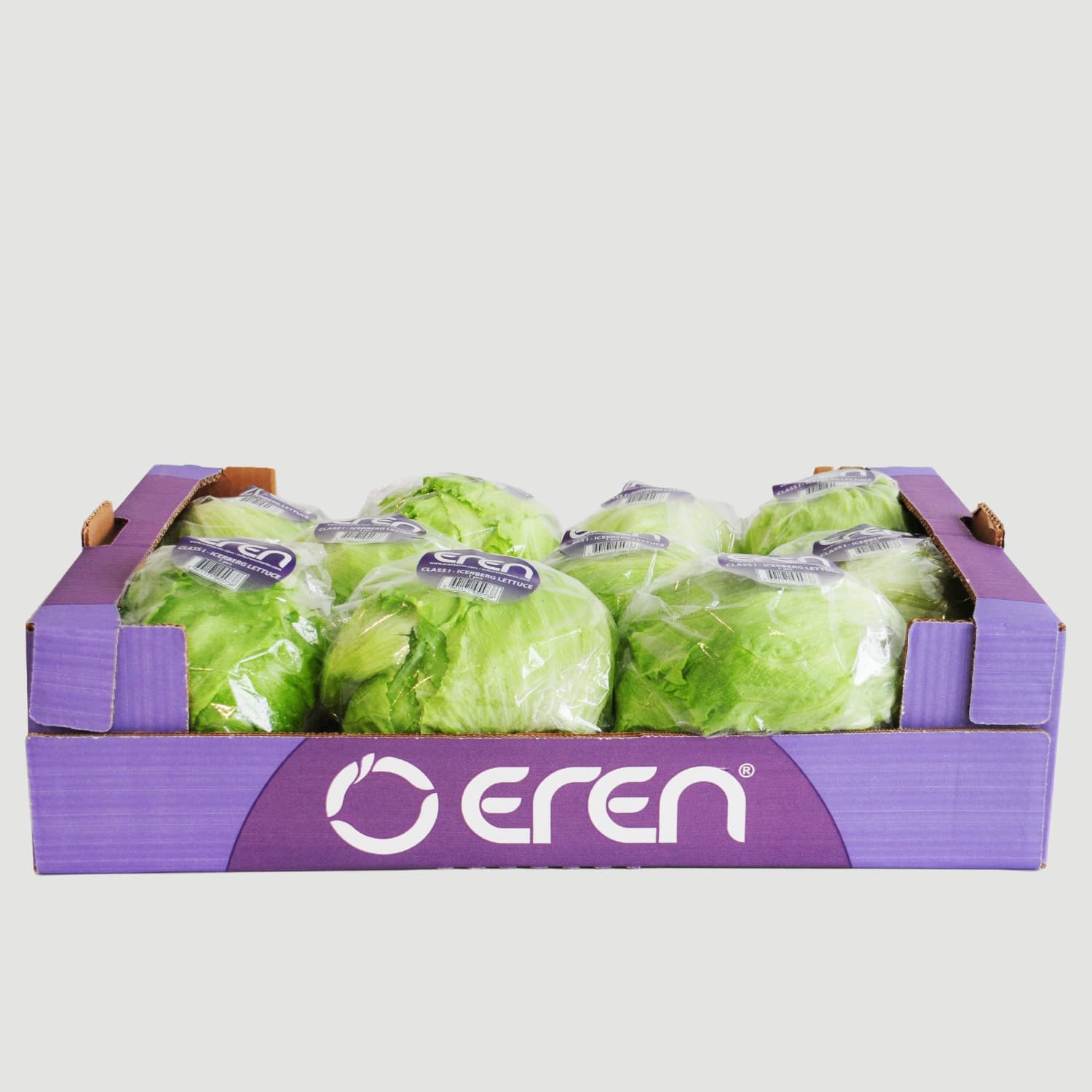 Iceberg Lettuce