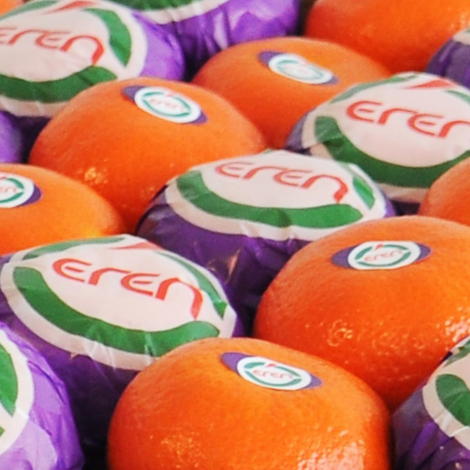 Tango / Tang Gold Mandarin